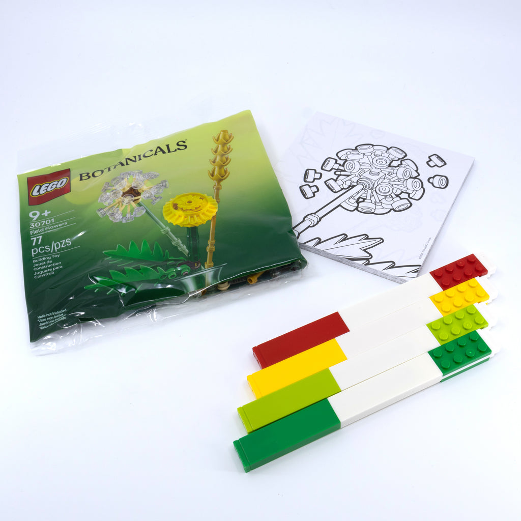 LEGO Stationery Creativity Set - Botanicals
